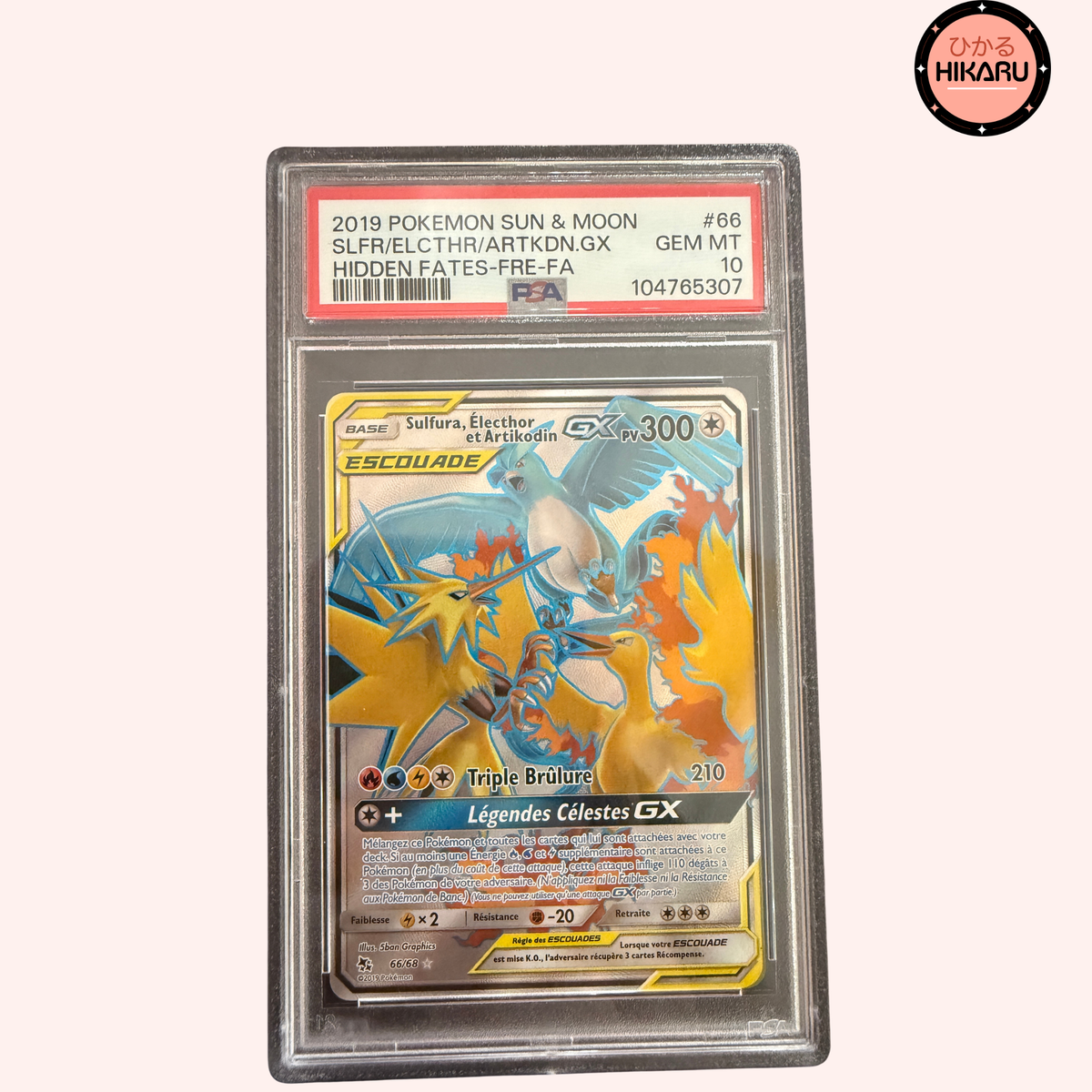 Artikodin, Electhor e Sulfura GX 69/68 (FR)
