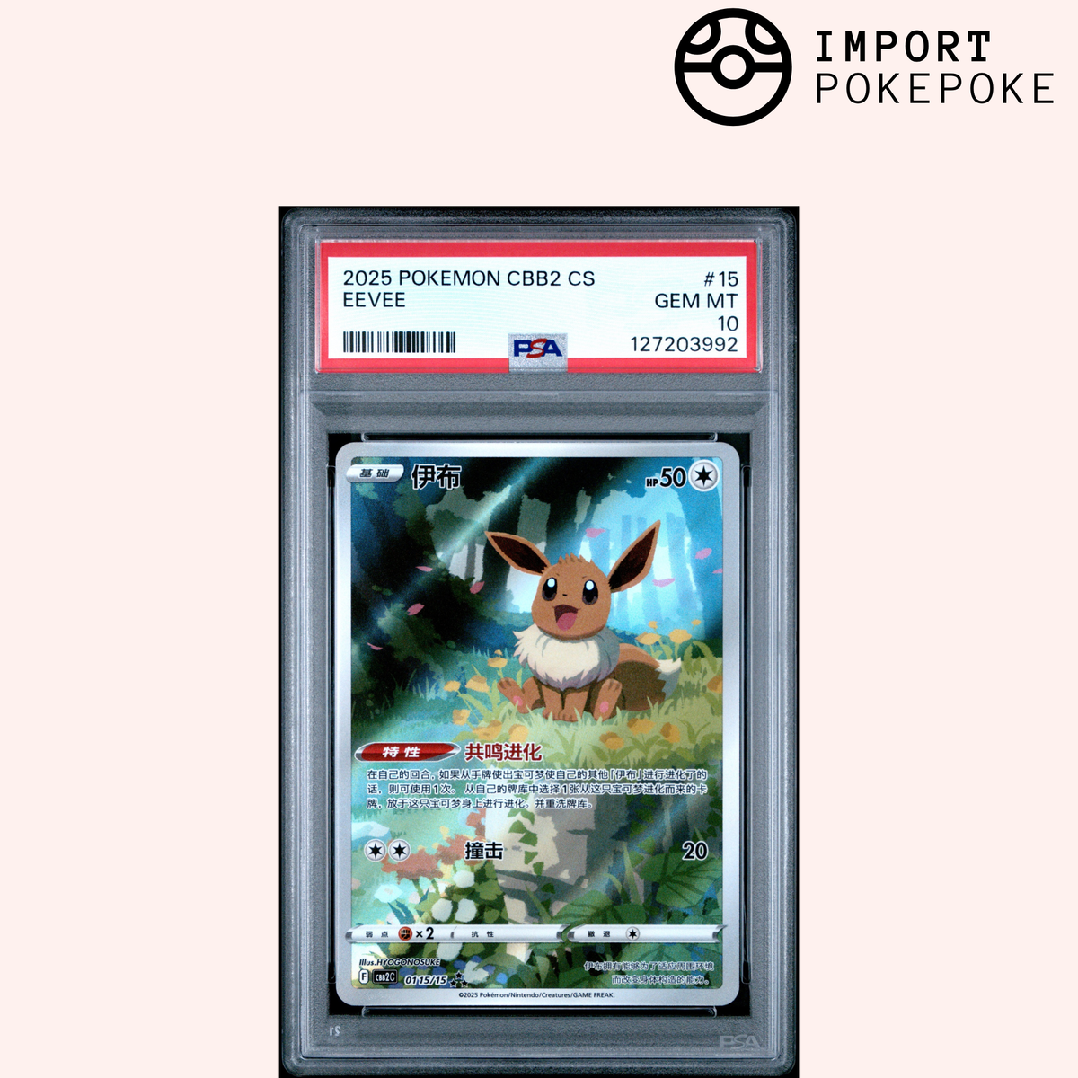 Evoli AR 0115/15 - CBB2C