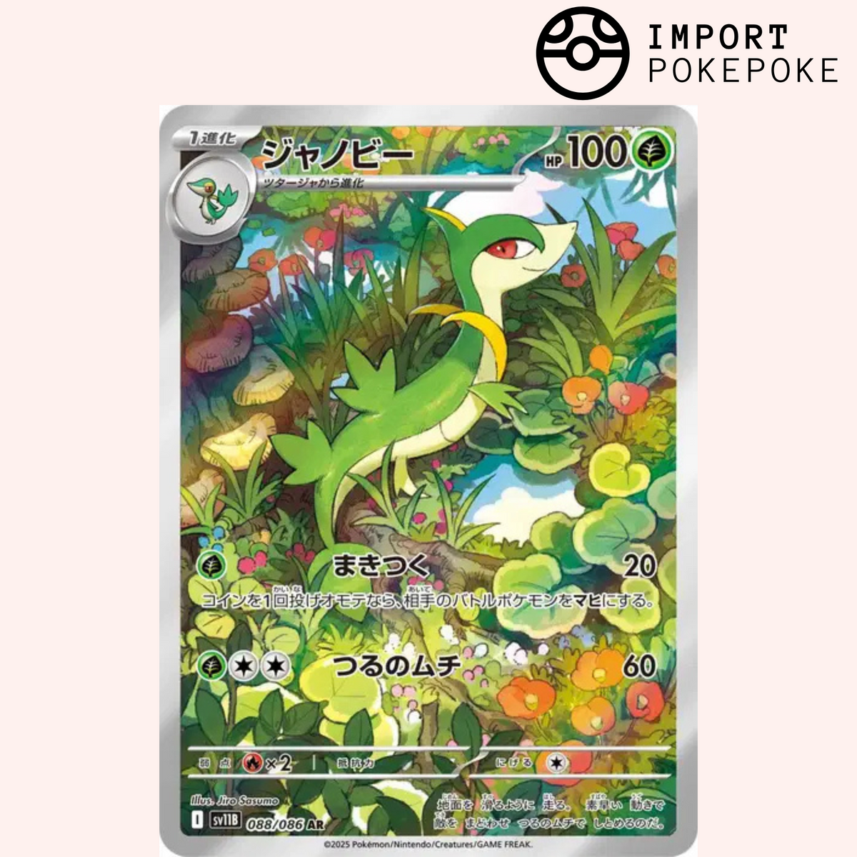 Lianaja AR 088/086 - Black Bolt - SV11B