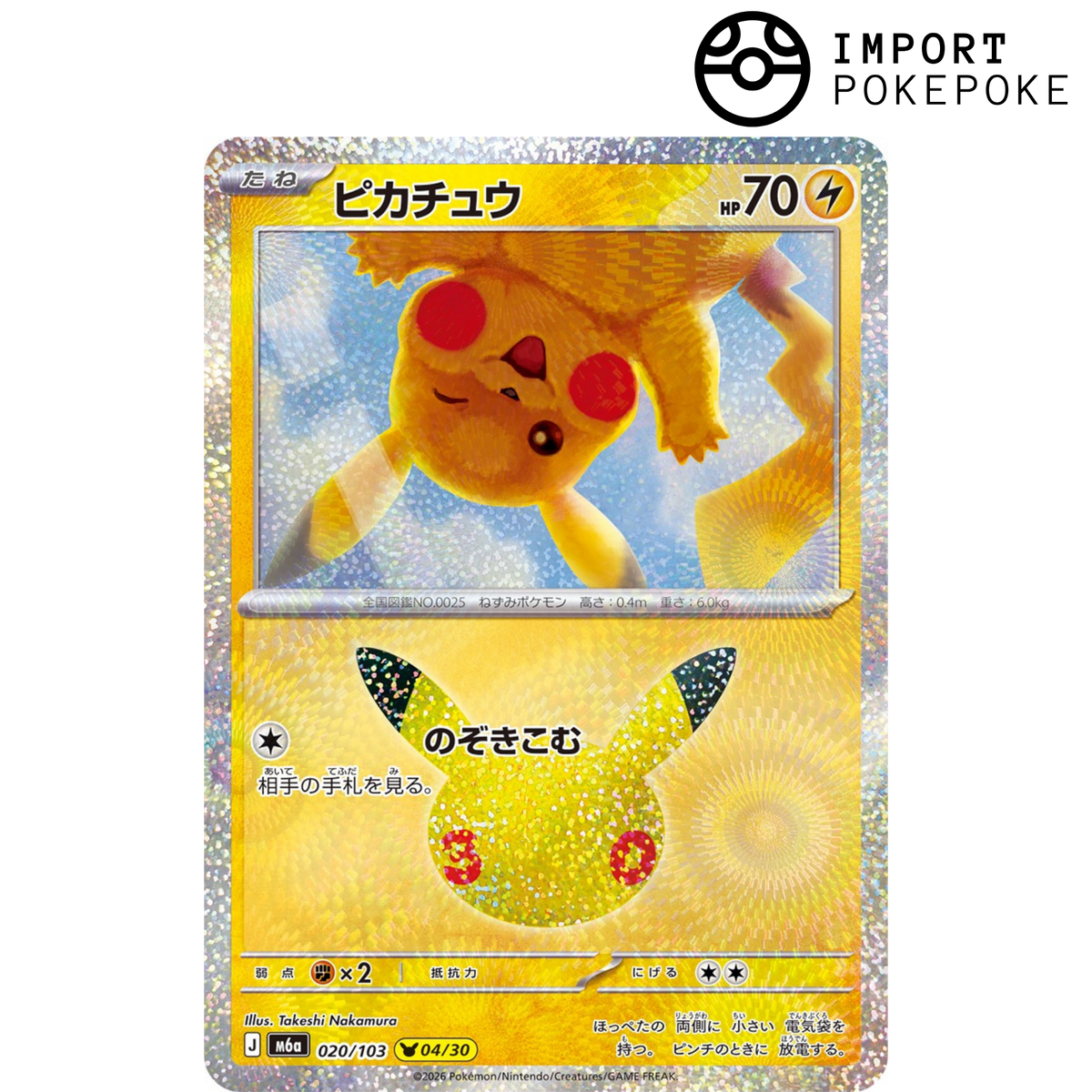 Pikachu 30/04 - 30° M6a
