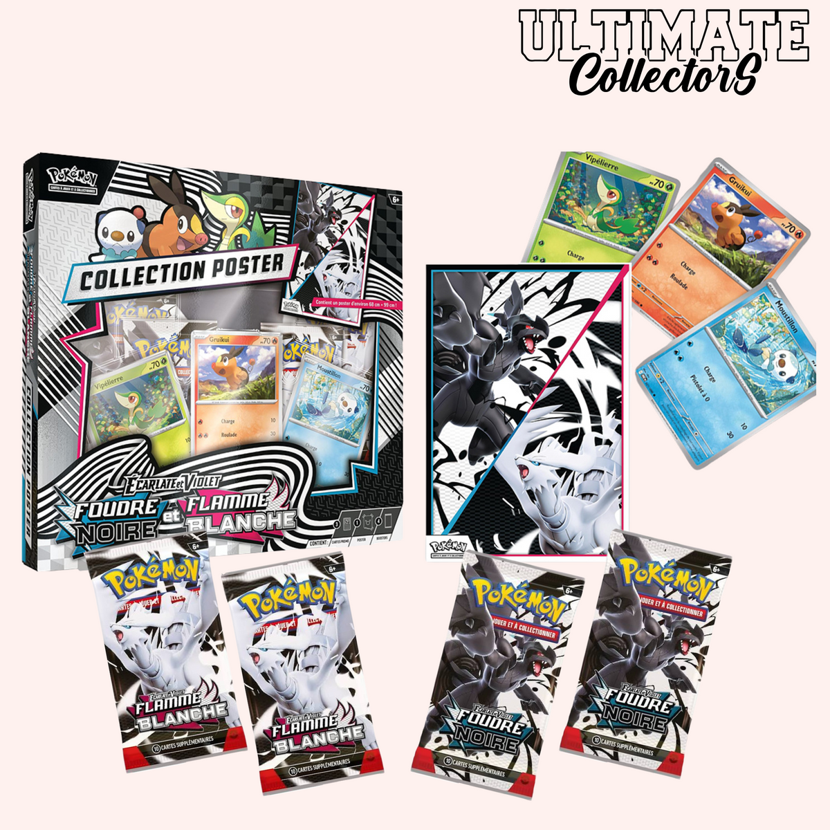 Pokémon-Posterbox – Weiße Flamme und schwarzer Blitz – EV10,5 – Französisch