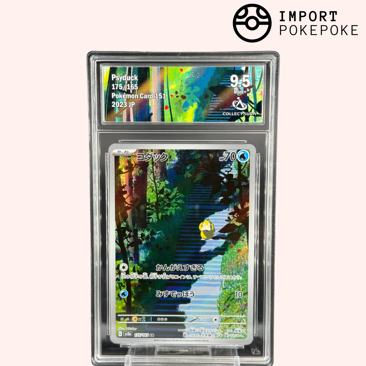 Psykokwak AR 175/165 - 151 - Japanisch