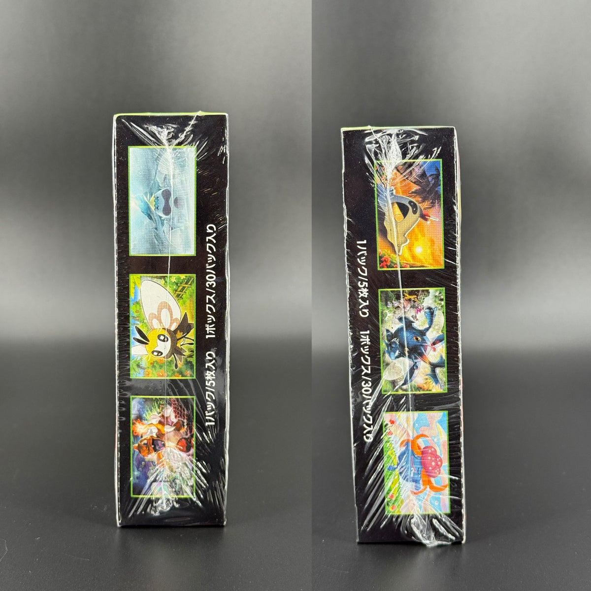 Display To Have Seen the Battle Rainbow - SM3H - Japonais