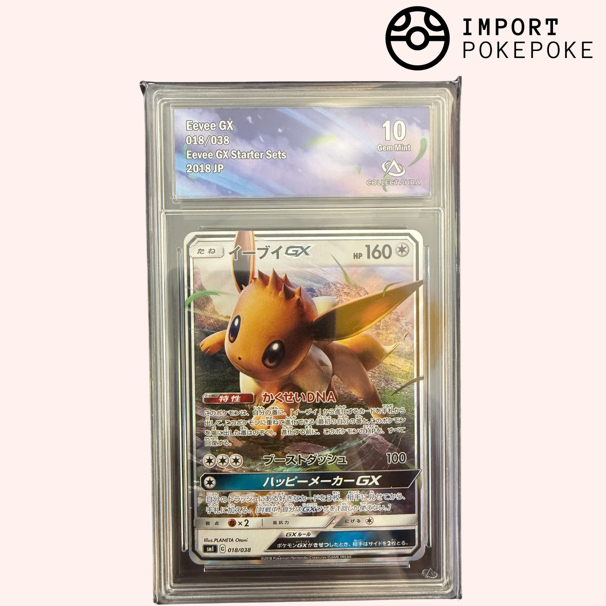 Evoli GX 018/038 - SM1