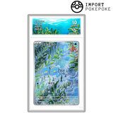 Flingouste AR 083/078 - SV1v