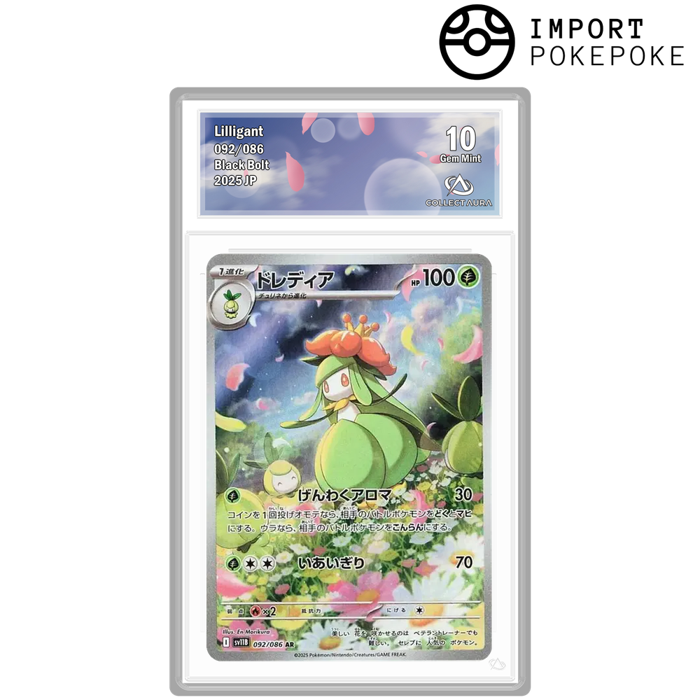 Fragilady AR 092/086 - SV11B