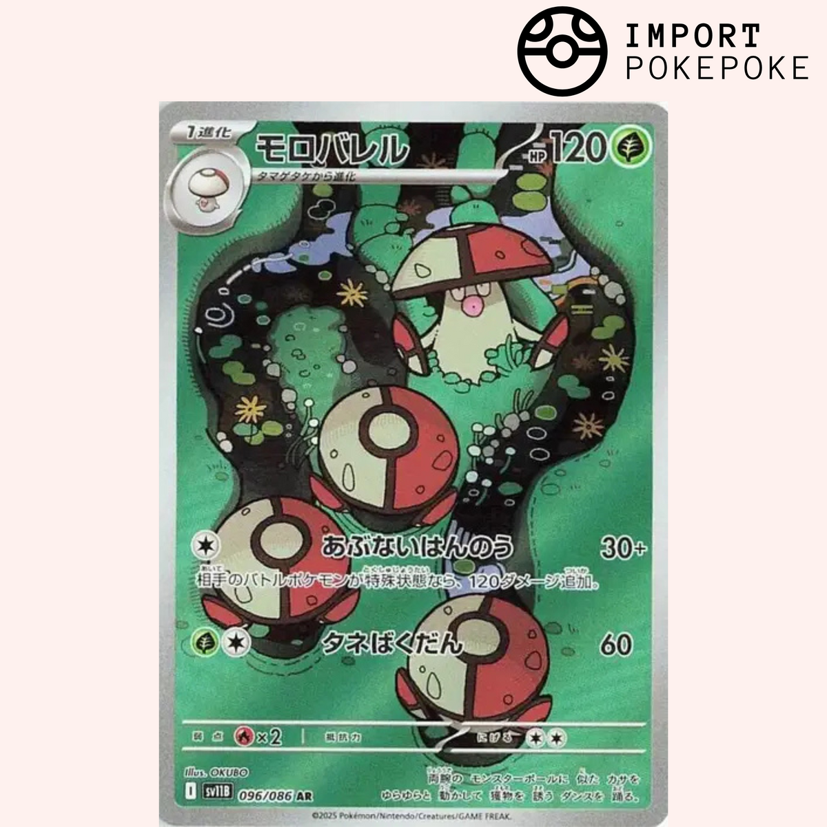 Gaulet AR 096/086 - Rayo Negro - SV11B