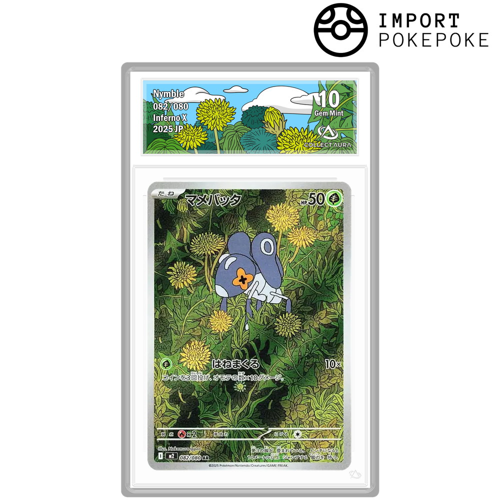 Lilliterelle AR 082/080  - M2