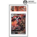 Mesmérella AR 078/071 - SV2P