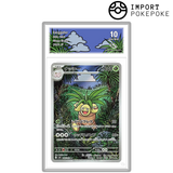 Noadkoko AR 066/063 - M1L 