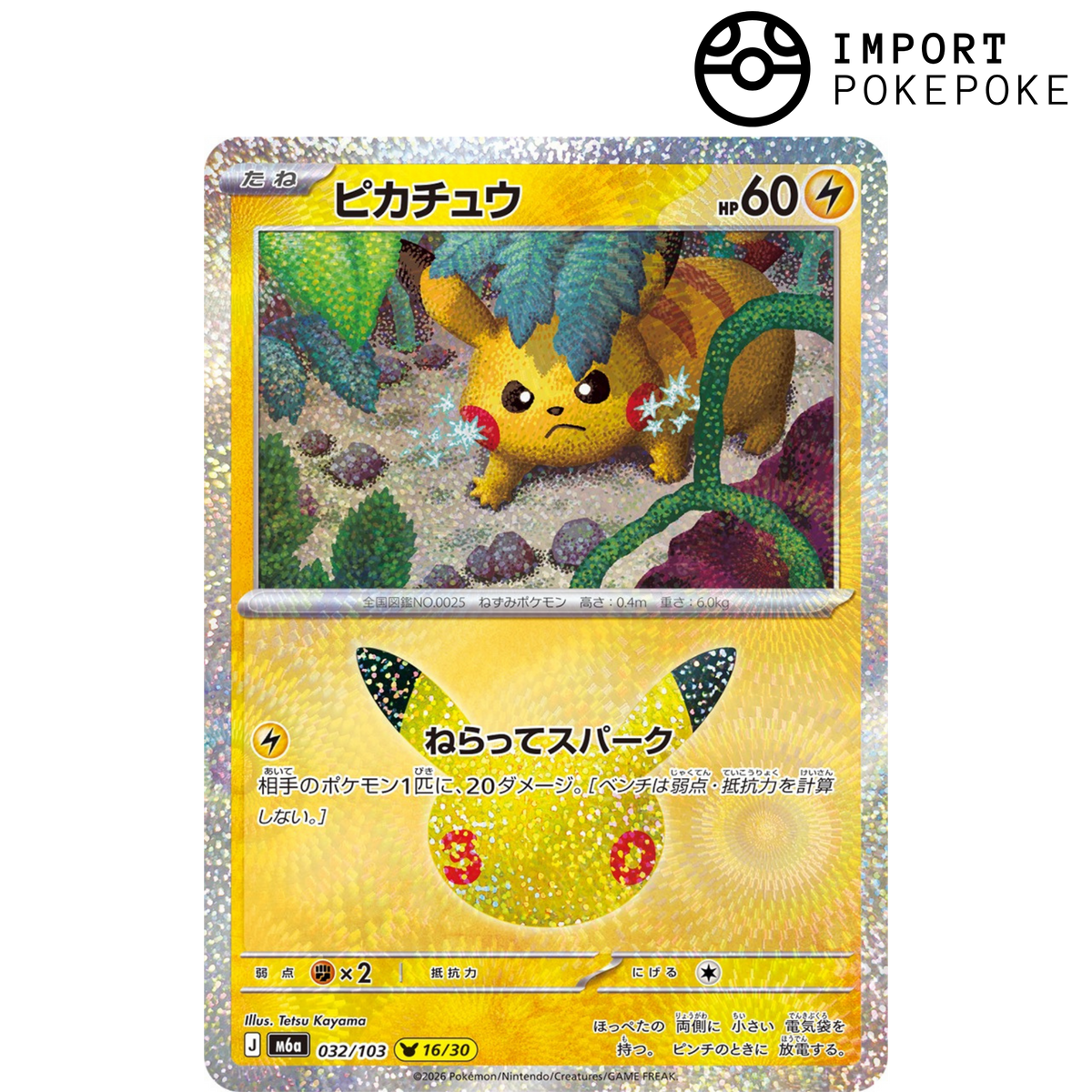 Pikachu 16/30 - 30th M6a