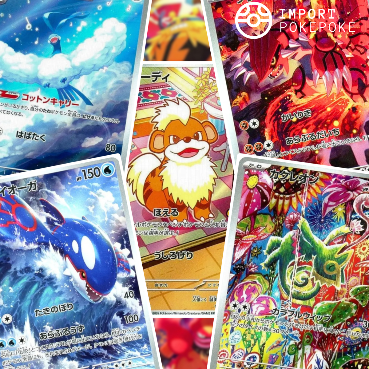 Set Complet 12/12 AR - Storm Emeralda - M6