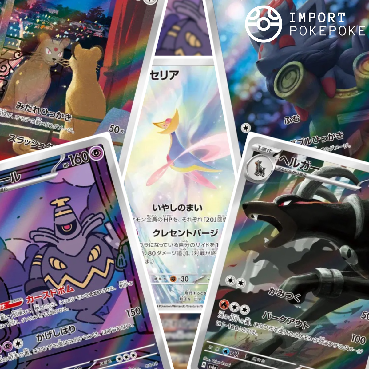 Set Complet 12/12 AR - Night Wanderer SV6A