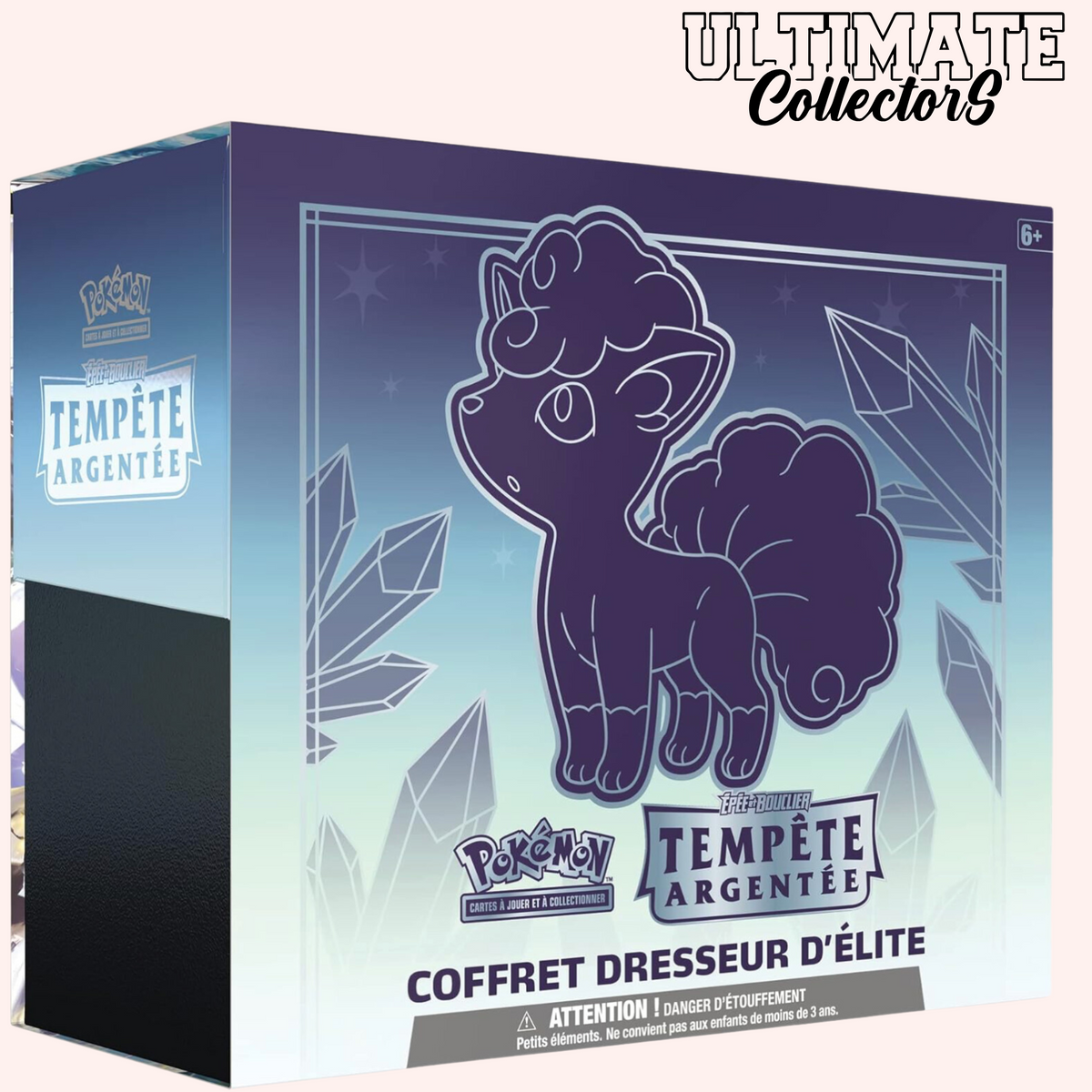 Coffret Dresseur de l'Élite - Tempête Argentée - ETB EB12